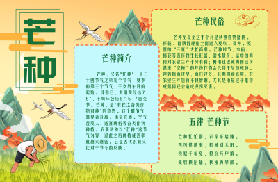 芒种传统节气宣传文案黄色手绘风手抄报 模板ID:34445