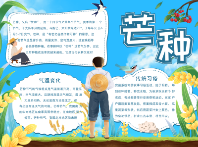 芒种节日节气蓝色手绘风手抄报 模板ID：35004