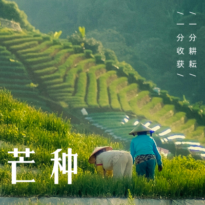 芒种节气实景方形海报 模板ID：34866