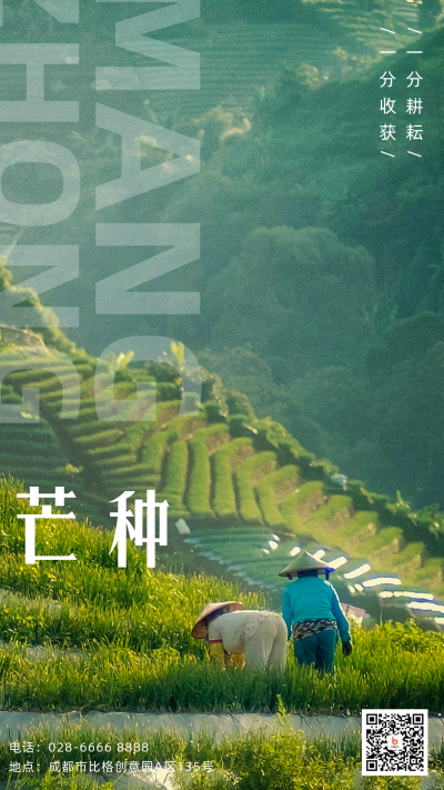 芒种节气实景手机海报 模板ID:34865
