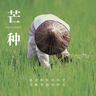 实景芒种节气方形海报 模板ID：34861
