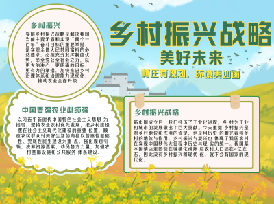 乡村振兴宣传活动手抄报
