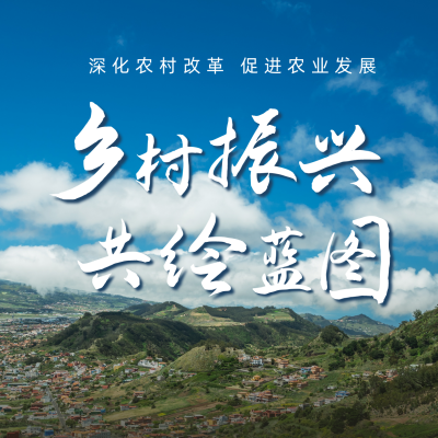乡村振兴战略政策呼吁宣传方形海报 模板ID：35669