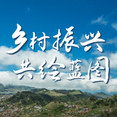 乡村振兴战略政策呼吁宣传公众号次图 模板ID：35671