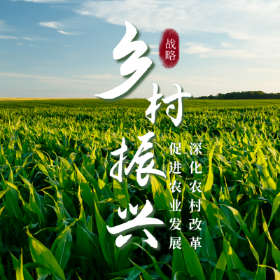 乡村振兴战略政策宣传方形海报 模板ID：35667