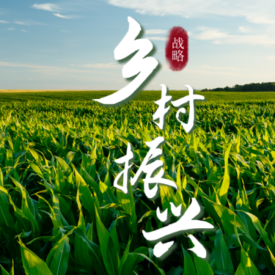 乡村振兴战略政策宣传公众号次图 模板ID：35666