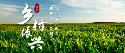 乡村振兴战略政策宣传公众号首图 模板ID：35665