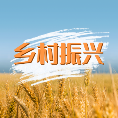 乡村振兴战略公众号封面次图 模板ID：35709