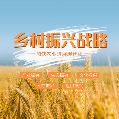 乡村振兴战略公方形海报 模板ID：35710
