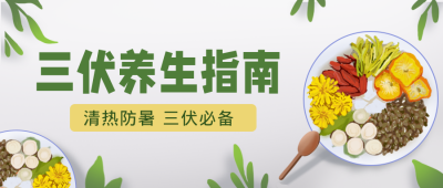 夏季三伏简约清新手绘养生首图 模板ID：36020