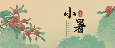 二十四节气小暑绿色手绘荔枝公众号封面首图 模板ID:36308