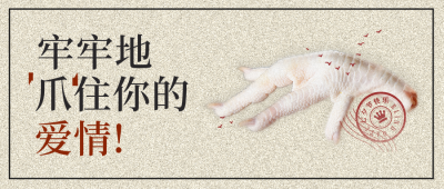 七夕相亲大专场宣传封面首图 模板ID：37263