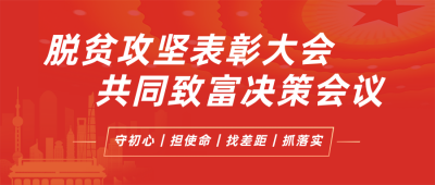 简约政务脱贫攻坚表彰会议政策解读公众号封面首图 模板ID：37533