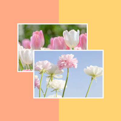 简约拼图模板 模板ID:37714