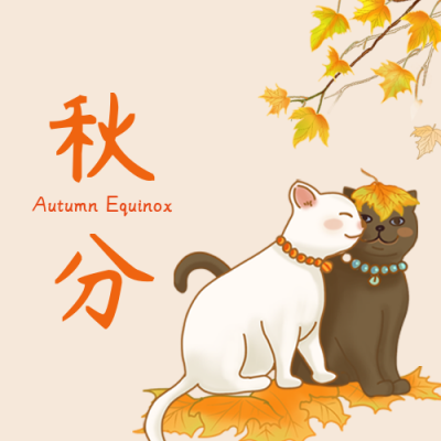 手绘秋分节气公众号封面次图 模板ID：38243