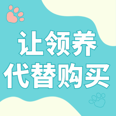 宠物领养公益宣传封面次图 模板ID:39126