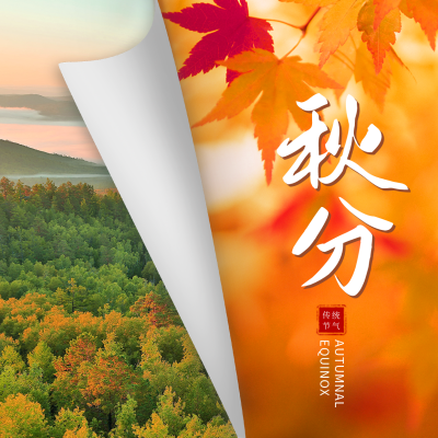 秋分节气纸张翻页方形海报 模板ID：39257