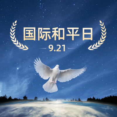 国际和平日公众号封面次图 模板ID：39548