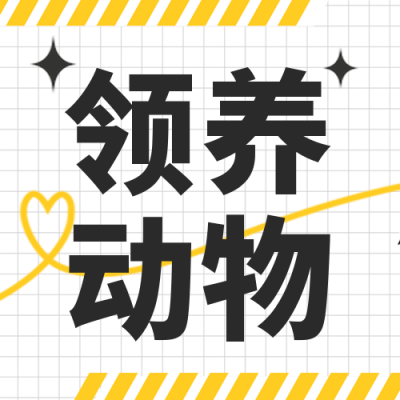 猫咪领养动物宣传封面次图 模板ID：39573