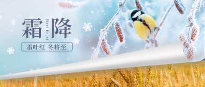 霜降传统节气宣传封面首图 模板ID：40175