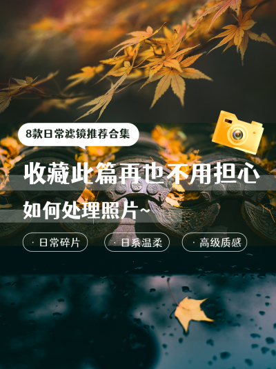 摄影滤镜合集推荐教程小红书封面 模板ID：40403