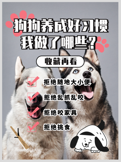 养动物可爱趣味小技巧小红书封面 模板ID：41296