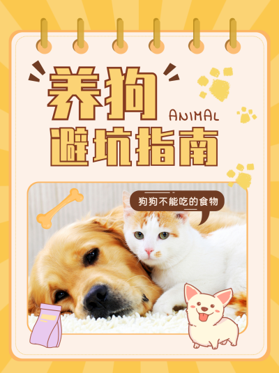 动物避坑领养指南小红书封面 模板ID：41326