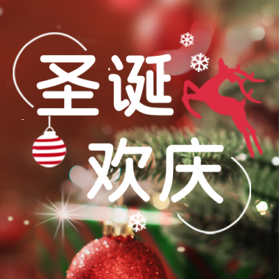 圣诞节祝福宣传实景封面次图 模板ID:43251