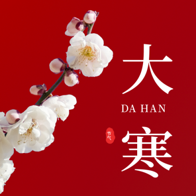 简约大气大寒节气实景花朵公众号封面次图 模板ID：44458