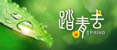 踏青出行春游实景绿色封面首图 模板ID:44726
