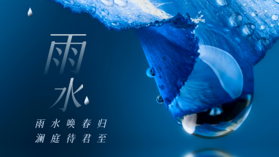 唯美蓝色雨滴雨水节气公众号图片封面 模板ID:46286