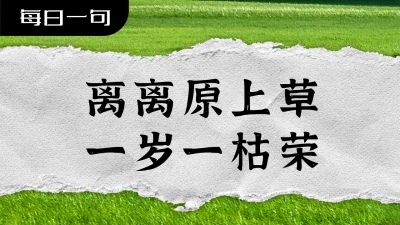 实景每日一句图片公众号图片封面 模板ID：46301
