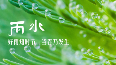 绿色唯美植物水珠雨水节气公众号图片封面 模板ID:46288