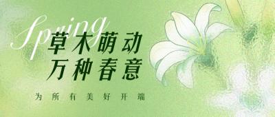 唯美春天磨砂玻璃花卉公众号封面首图 模板ID:46599