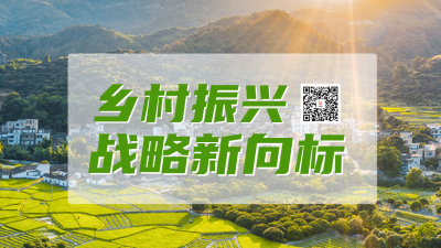 乡村振兴战略二维码 模板ID：46654