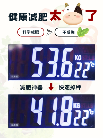 掉秤减肥推荐宣传小红书封面 模板ID:46873
