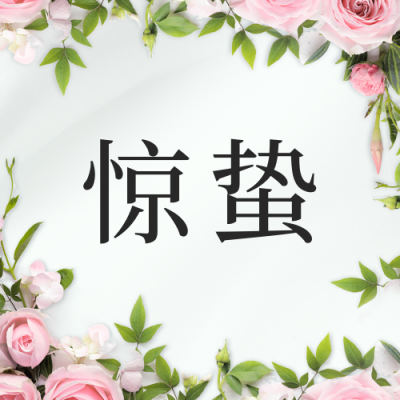 惊蛰节气花店借势营销公众号封面次图 模板ID：47163