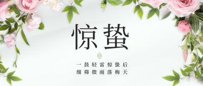 惊蛰节气花店借势营销公众号封面首图 模板ID：47160