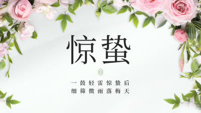 惊蛰节气花店借势营销公众号新图文封面 模板ID：47164