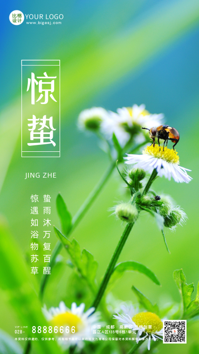 春天惊蛰二十四节气花朵实景手机海报 模板ID:47268