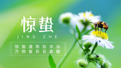 春天惊蛰二十四节气花朵实景公众号新图文封面图 模板ID：47267
