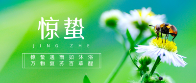 春天惊蛰二十四节气花朵实景公众号封面首图 模板ID：47266