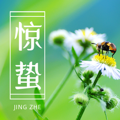 春天惊蛰二十四节气花朵实景公众号封面次图 模板ID：47265