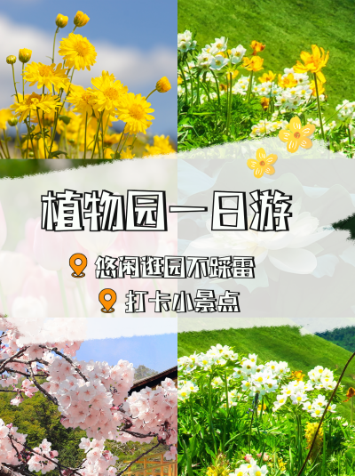 植物园旅游打卡景点小红书封面 模板ID:47364
