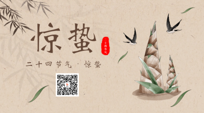惊蛰传统节气宣传二维码 模板ID:47506