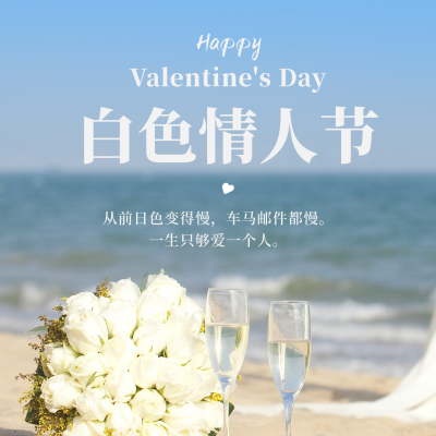 浪漫白色情人节520实景海边方形海报 模板ID：47673