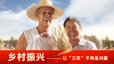 政务乡村振兴助农政策解读新闻资讯公众号新图文封面图 模板ID:48035