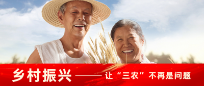 政务乡村振兴助农政策解读新闻资讯公众号封面首图 模板ID：48033