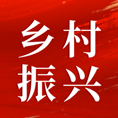 政务乡村振兴助农政策解读新闻资讯公众号封面次图 模板ID：48034