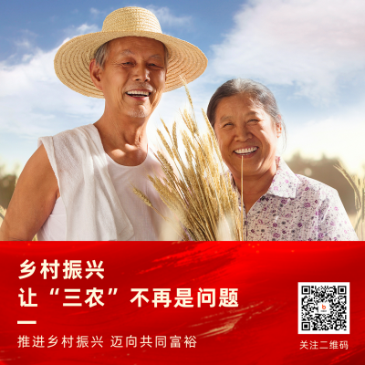 政务乡村振兴助农政策解读新闻资讯方形海报 模板ID：48032